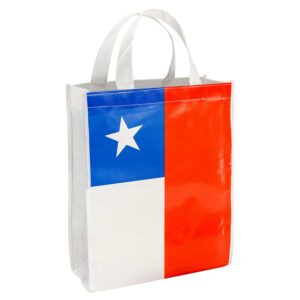 Bolsa TNT Bandera Chilena