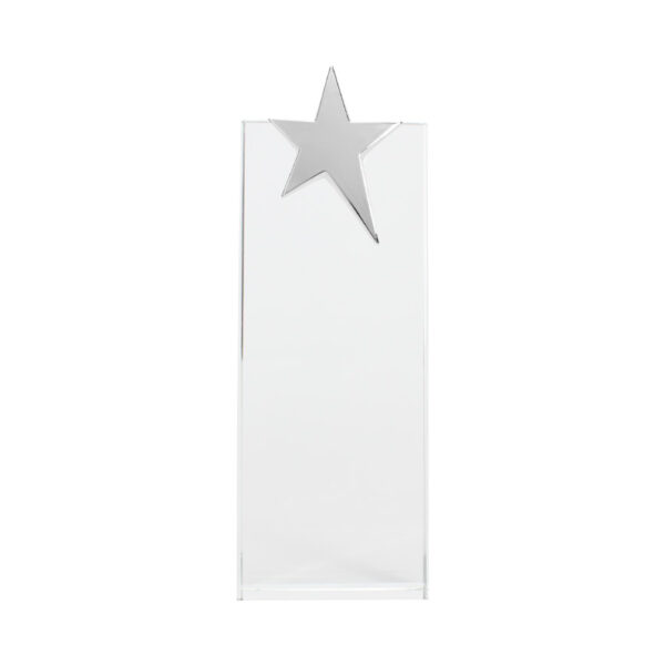 Trofeo Galvano de Cristal "Ledecky" - Imagen 3