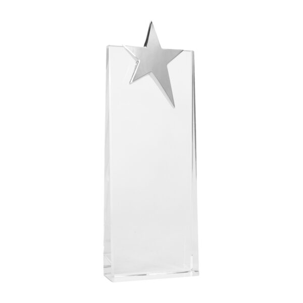 Trofeo Galvano de Cristal "Ledecky" - Imagen 2